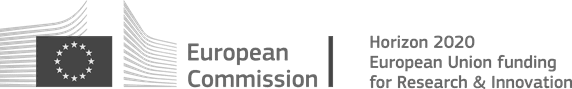 European Commission